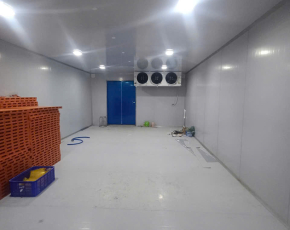 Thi Công Kho Lạnh Trọn Gói