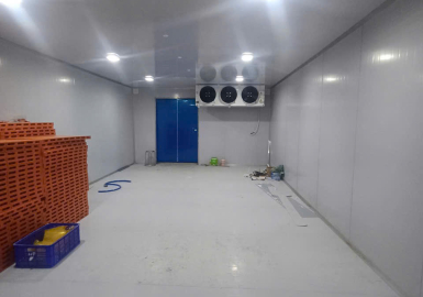 Thi Công Kho Lạnh Trọn Gói