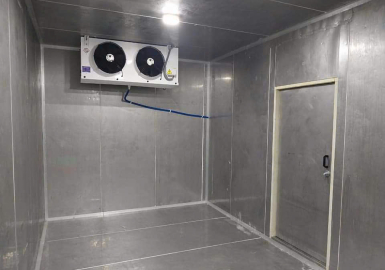 Thi Công Kho Lạnh Bảo Quản Thực Phẩm TP HCM