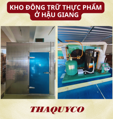kho đông trữ thực phẩm  ở hậu giang